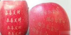 水果上使用的激光打標(biāo)機(jī)