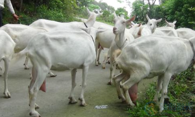 激光打標(biāo)機(jī)便宜 5000多6千多的打標(biāo)機(jī)可以用嗎?(圖2)